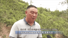 菌业龙头 科技富平易近 恭喜鸿鑫食用菌：荣获省